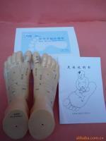 上海中界教學儀器 醫(yī)藥教學器材的領航者與中醫(yī)器械的融合