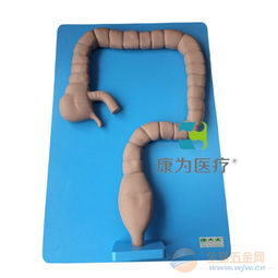 康為醫(yī)療乙狀結腸鏡檢查模型 開啟下消化道內(nèi)窺鏡實訓新紀元